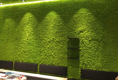 Draumr Polarmoss Green Walls akoestische groene wand