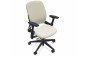 Steelcase Leap Chair Back